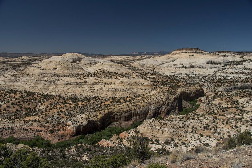 Landscape by Kimberley Helmendag