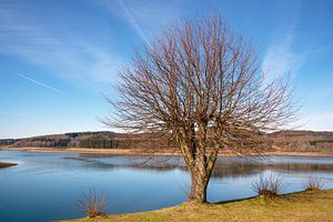 Große Dhünntalsperre, Bergisches Land, Deutschland