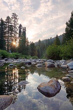 Coucher de soleil dans le parc Sequoia