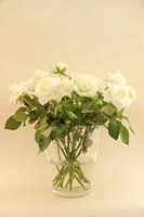 Rozen