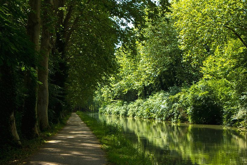 Canal du Midi by Anja B. Schäfer