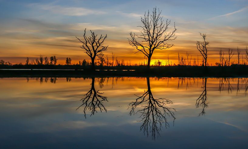 sunrise van marcel ravers