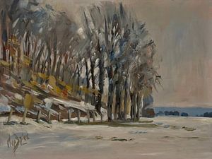 Winter im Oberwald