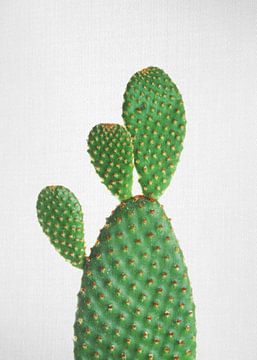 Cactus sur Gal Design