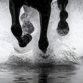 Paardenkracht in Beweging van Alvadela Design & Photography