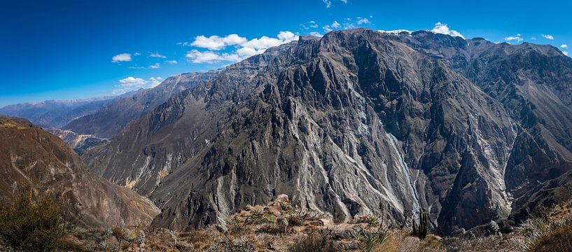 Indrukwekkend panorama van de Colca Canyon, Peru van Rietje Bulthuis