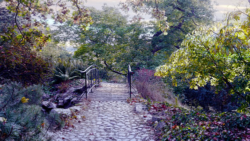 Brücke im Park