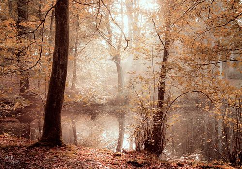 Do you believe in magic?