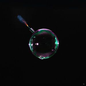 Bubble Pop sur Michel Rijk