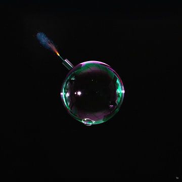 Bubble Pop by Michel Rijk