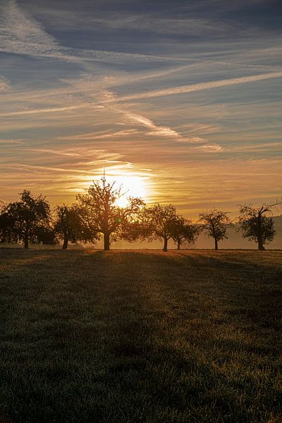 Dawn by Thomas Heitz