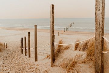 Réserve de plage Noordvoort sur Yanuschka Fotografie | Noordwijk
