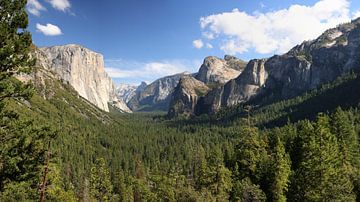 Breites Naturfoto eines Waldes und einer felsigen Landschaft