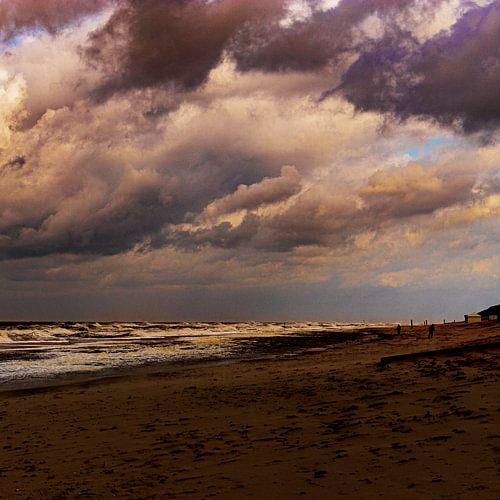 Texel, North Sea beach
