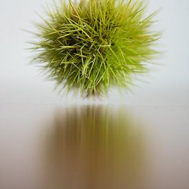 Suzan Zanders photo de profil