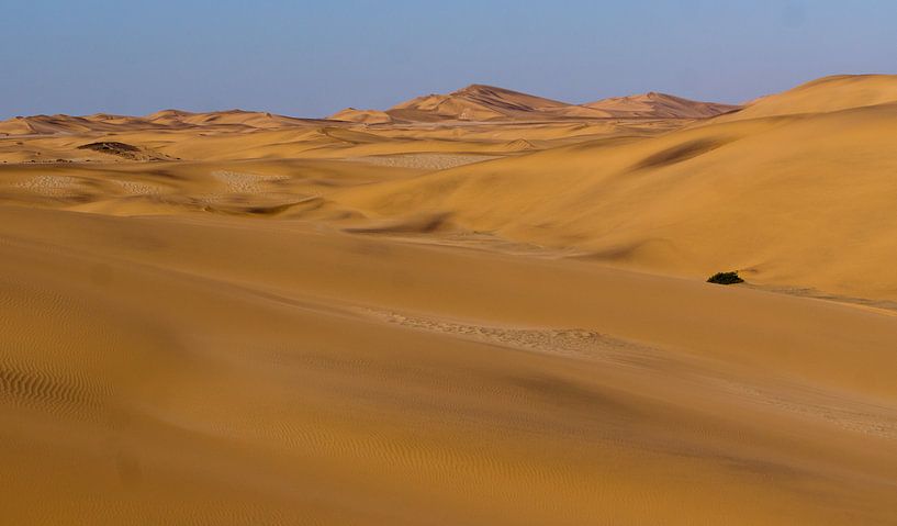 Duinen in de Namib woestijn, Namibië von Christel Nouwens- Lambers