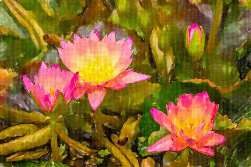 lotus by Karl-Heinz Lüpke