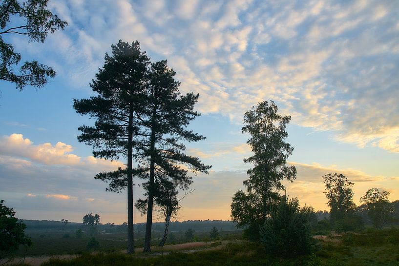 Zonsopkomst op de heide met mooie wolkenlucht van Ad Jekel