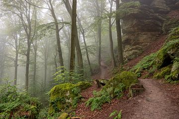 Mysterieuze Ruetsbechschlëff van Edwin Kooren