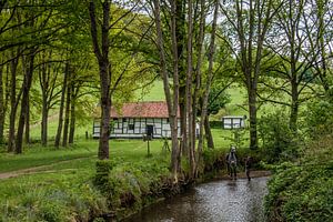 Het Limburgs Landschap van Hugo Braun