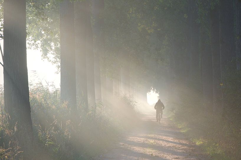 Cycling to the light by Michiel kijkt!