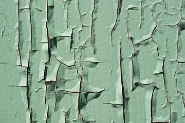 Rissige, grüne Farbe an einer alten Tür von Birgitte Bergman