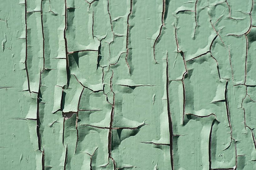 Peinture verte craquelée sur une vieille porte par Birgitte Bergman