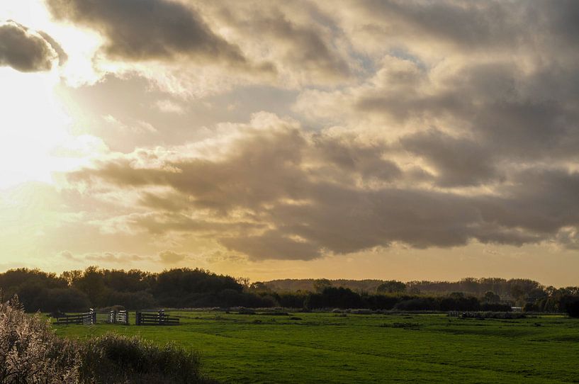 le soleil d'automne sur la prairie par Heleen de Silva