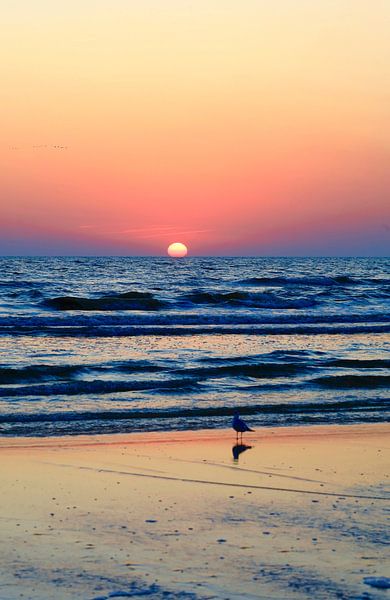 Morgenstimmung auf Usedom von Thomas Jäger
