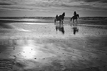 Paarden op het strand tijdens een zonsondergang