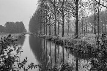 Herfst in Zuid Holland van Matthijs Peeperkorn