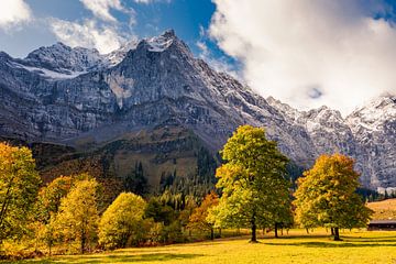Esdoorns bij de Großer Ahornboden in Oostenrijk in de herfst met massieve rotswand van Robert Ruidl
