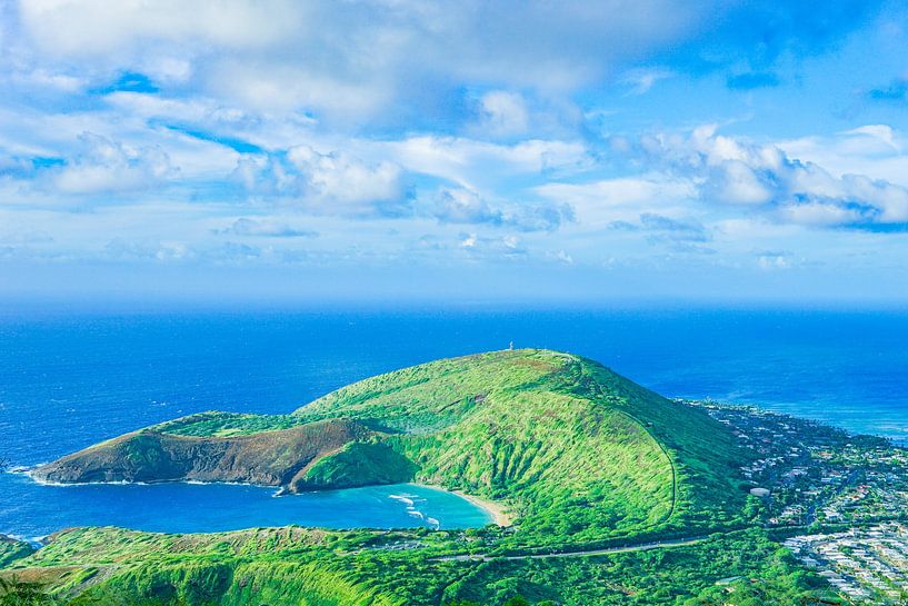 Paysage hawaïen et océan par Barbara Riedel