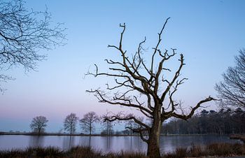 22-02-2018, PESSE, Sunrise in national park Dwingelderveld