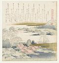 Brokatmuschel, Katsushika Hokusai, 1821 von Marieke de Koning Miniaturansicht