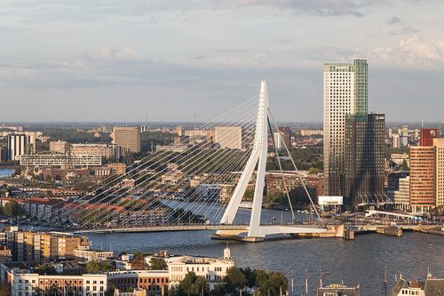 De Erasmusbrug in Rotterdam
