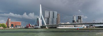 Storm over Rotterdam van Richard Wareham