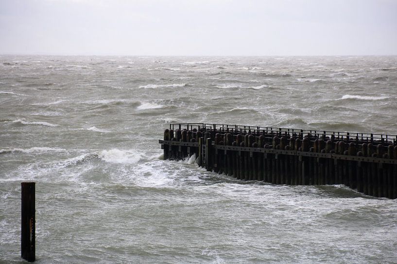 Storm aan zee von Wendy Hilberath