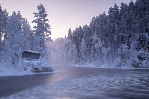 Fins Lapland
