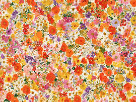 Bunte Blumenwiese