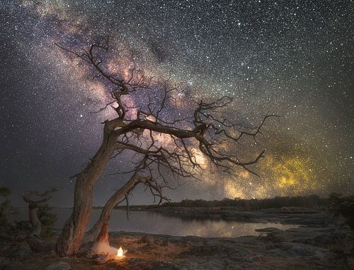 Flatvarp milkyway 2025 von Marc Hollenberg