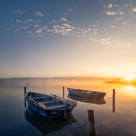 Ruderboote in der Morgensonne von calvaine8