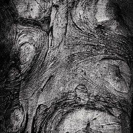 Tronc d'arbre abstrait sur Dieter Walther