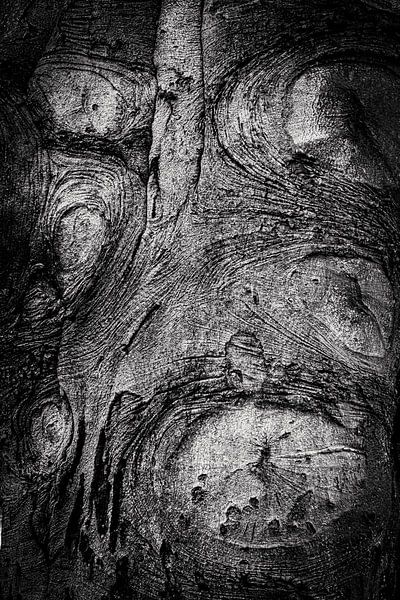 Boomstam abstract van Dieter Walther