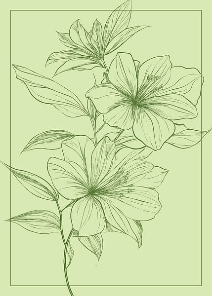 Dessin de lignes délicates de fleurs de lys par Pixelbull Design