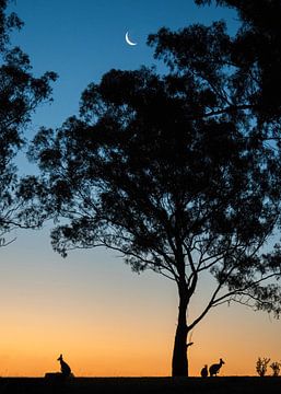 Le coucher de soleil de Melbourne sur fromkevin