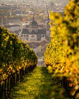 Würzburg
