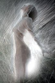 Grass whispers 6 by Fotokompost von Lichtgestalt