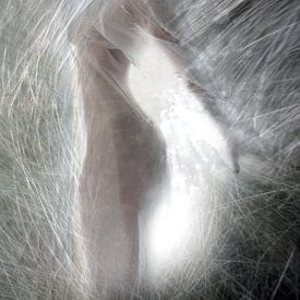 Grasgeflüster 6 von Fotokompost von Lichtgestalt