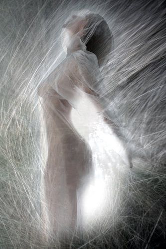 Grasgeflüster 6 von Fotokompost von Lichtgestalt